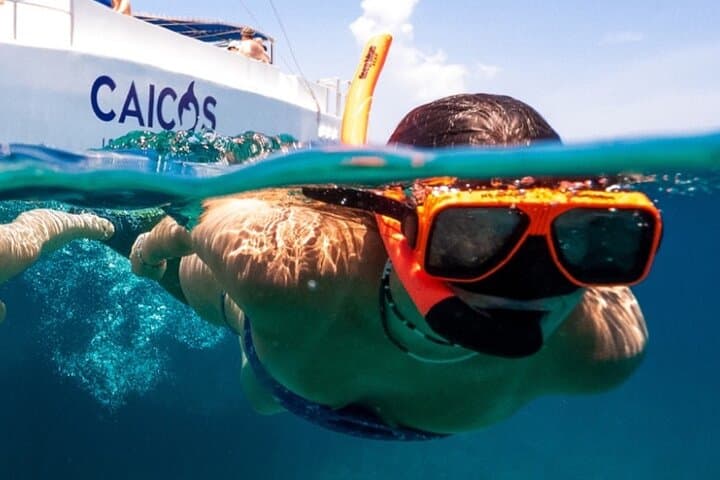 Half-Day Snorkel from Providenciales to Half Moon Bay and Iguana Island photo 2