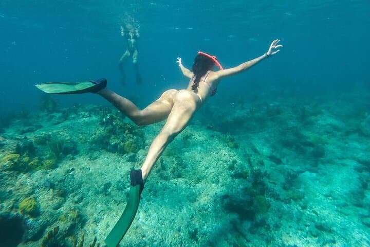 Half-Day Snorkel from Providenciales to Half Moon Bay and Iguana Island photo 3
