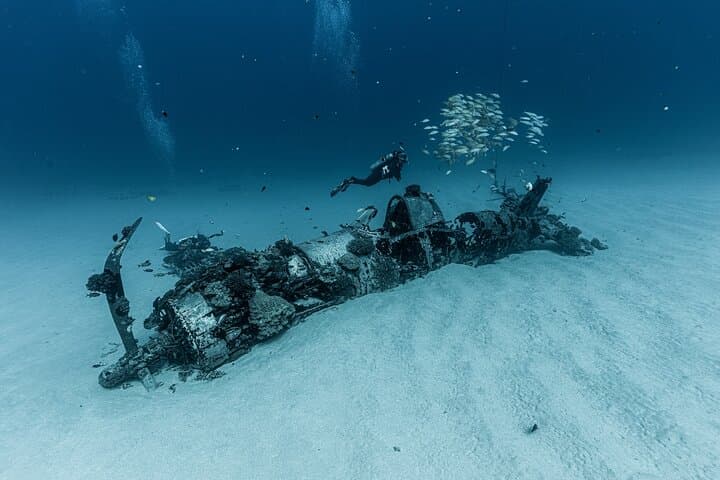 Certified Scuba Diving in Maunalua Bay, Honolulu — Deep Wreck & Reef Tours