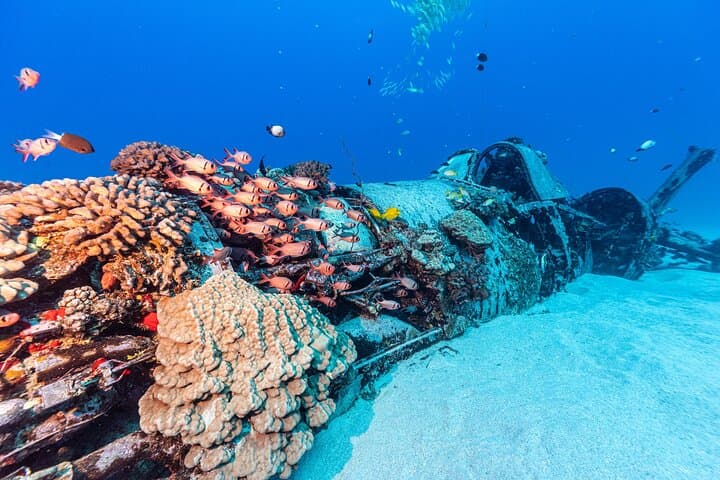 Certified Scuba Diving in Maunalua Bay, Honolulu — Deep Wreck & Reef Tours photo 3