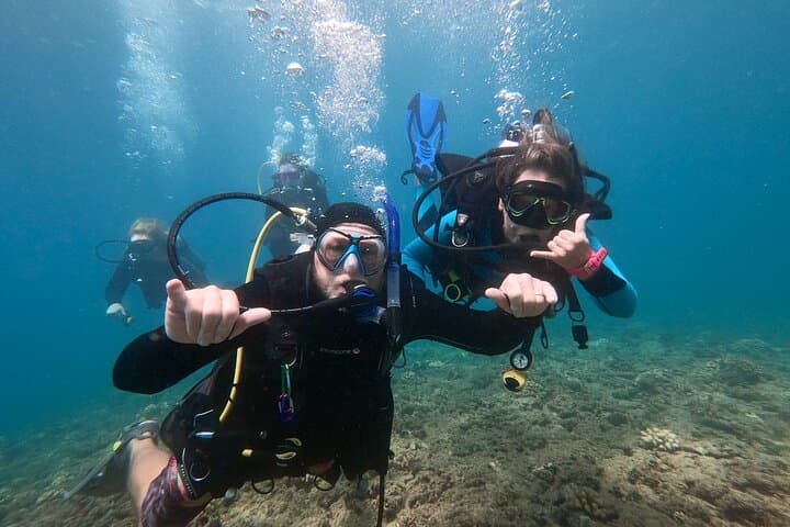Discover Turtles and Reefs: Try Scuba Diving in Oahu's Maunalua Bay photo 2