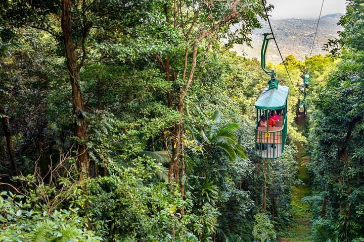 St Lucia Ultimate 3: Aerial Tram, Zipline & Rainforest Hike in Castries Waterworks Reserve photo 6