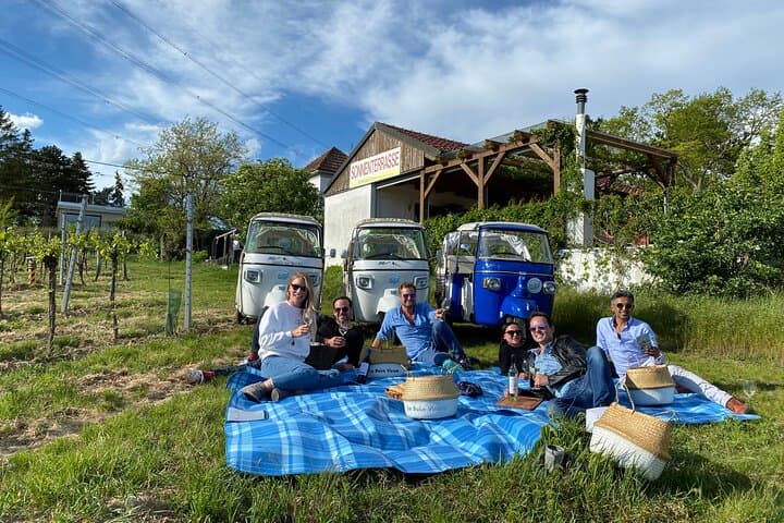 Private Wine Picnic in Vienna's Vineyards — Ape Ride & Organic Snacks photo 4