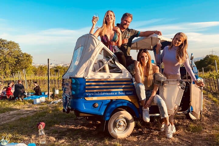 Private Wine Picnic in Vienna's Vineyards — Ape Ride & Organic Snacks