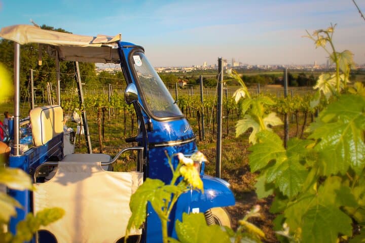 Private Wine Picnic in Vienna's Vineyards — Ape Ride & Organic Snacks photo 6