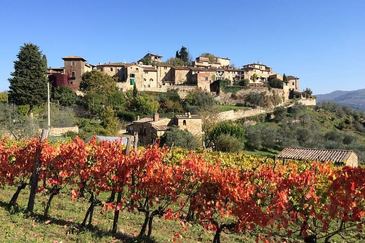 Rolling Hills & Brunello: Private Full-Day Tour of Val D'Orcia photo 5