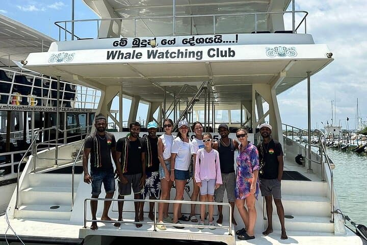 Mirissa Whale Watching on the Queen Whale — Dolphins, Sea Bath & Ethical Boat Safari photo 1