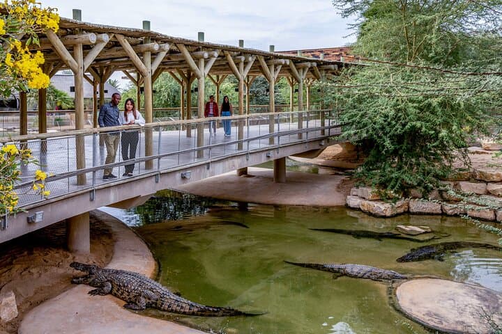 Dubai Crocodile Park Tickets & Transfers – Visitor Guide