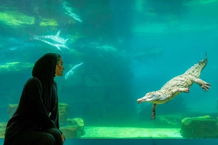 Dubai Crocodile Park Tickets & Transfers – Visitor Guide photo 6
