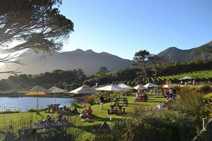 Explore the Cape Peninsula Through a Queer Lens — Private LGBTQIA+ Tour from Cape Town