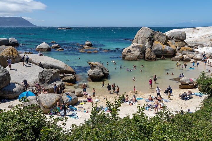 Explore the Cape Peninsula Through a Queer Lens — Private LGBTQIA+ Tour from Cape Town photo 3