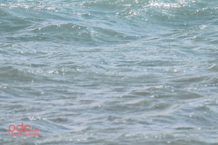 Learn Wing Foil in Playa del Carmen: 3‑Hour Intro on Caribbean Waters photo 2