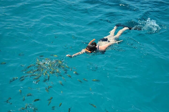 Montego Bay Catamaran Cruise: Snorkel Clear Reefs with Private Transfers photo 3