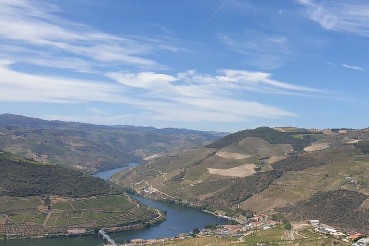 Private Full-Day Douro Valley Tour: Wine, Olive Oil & Rabelo Boat Experience photo 6
