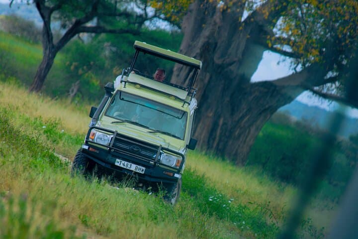 Tarangire Day Safari: Elephant Spectacular from Arusha