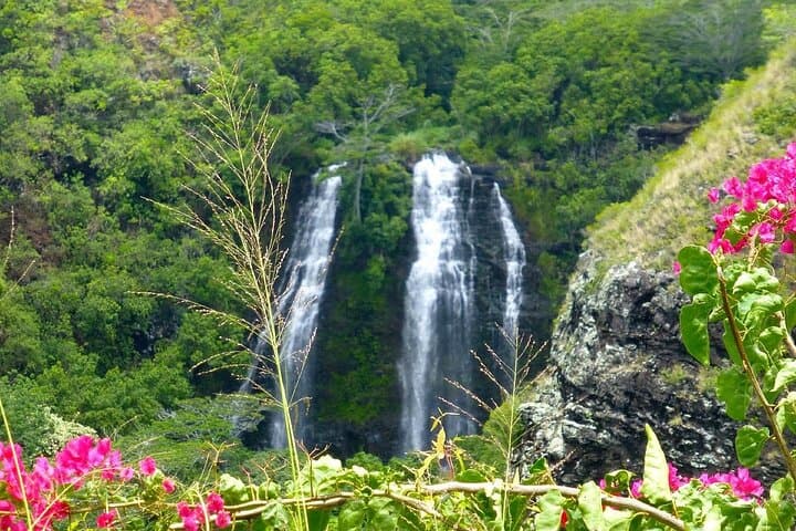 Kauai Waterfalls & Food Tasting: Eastside Small-Group Tour from Kapaa