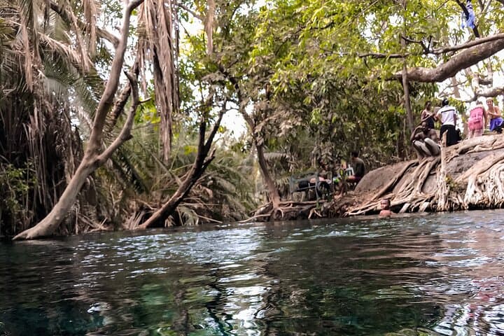 Materuni Waterfalls, Coffee & Kikuletwa Hotsprings Day Tour from Moshi photo 4