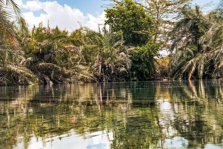 Materuni Waterfalls, Coffee & Kikuletwa Hotsprings Day Tour from Moshi photo 5