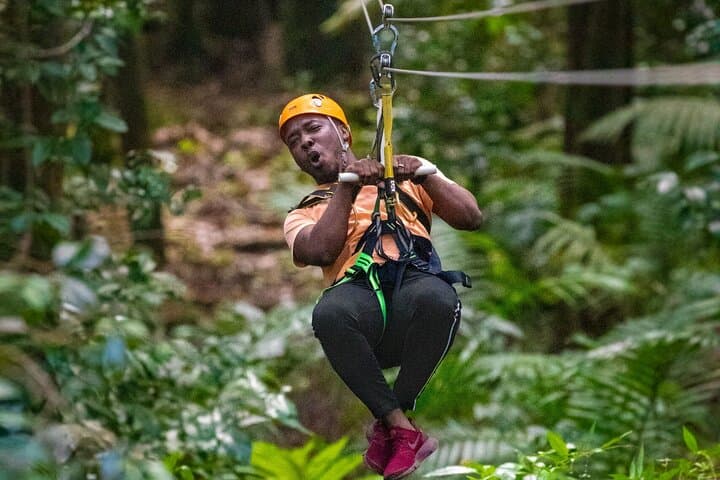 St. Lucia Ultimate 3-in-1 Canopy Adventure: Aerial Tram, Rainforest Hike & Zipline photo 1