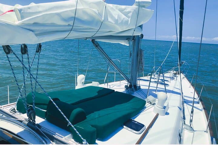 Luxury Private Sunset Sailing from San José del Cabo: Estuary Views, Whales & Open Bar photo 4