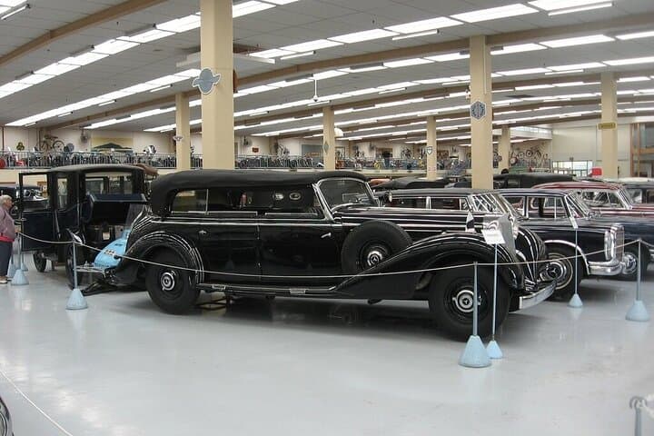 Kapiti Coast Day Tour: Kiwi, Tuatara, Coastal Views & Southward Car Museum