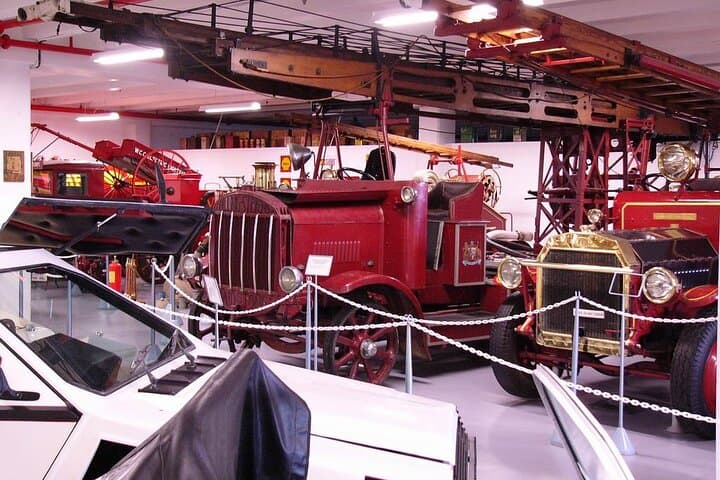 Kapiti Coast Day Tour: Kiwi, Tuatara, Coastal Views & Southward Car Museum photo 3