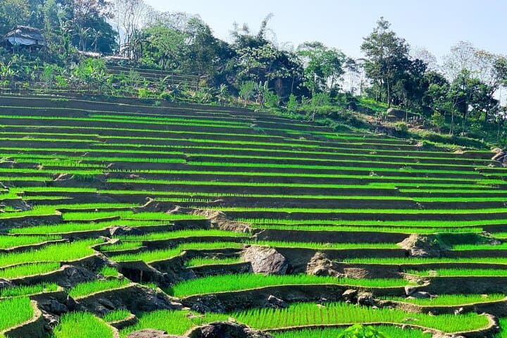 Mai Chau to Pu Luong 2-Day Trek and Homestay Adventure photo 6
