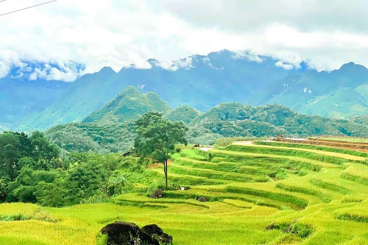 Pu Luong Nature Reserve: Two-Day Trek Through Rice Terraces and Thai Villages photo 4