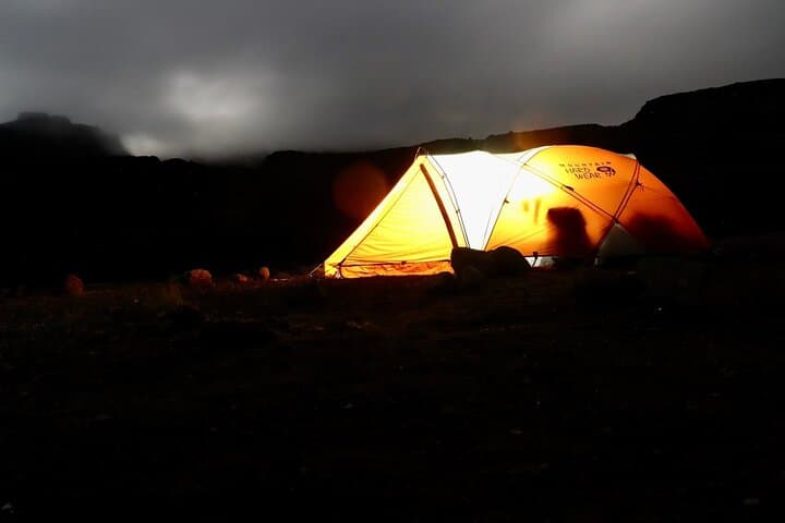 Lemosho Route Kilimanjaro: 8-Day Private Trek from Londorossi Gate to Uhuru Peak photo 4