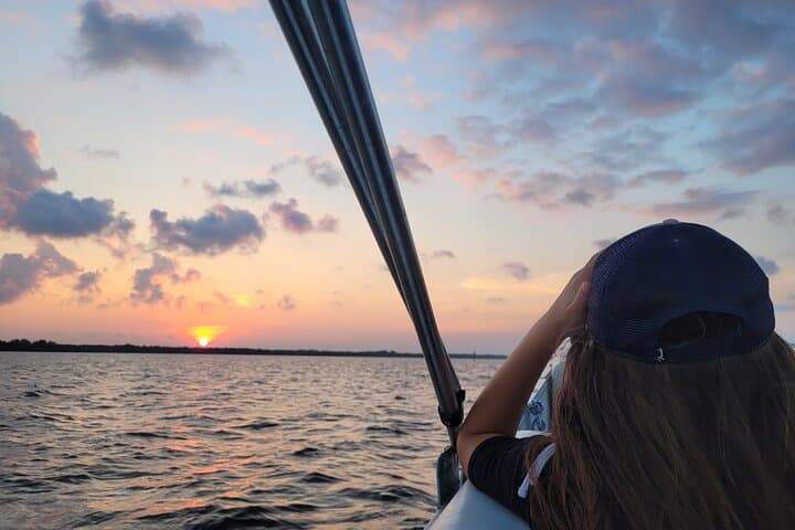 Private 2-Hour Dolphin Sightseeing Tour in Cocoa Beach: BYOB Wildlife Cruise photo 6