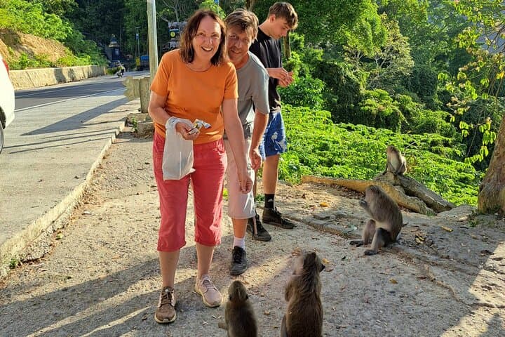 Lombok Rice Terrace Walking Tour with Benang Kelambu Waterfall & Monkey Forest photo 3