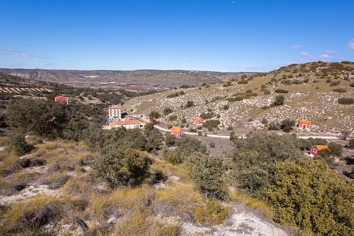 Paella, Olive Oil, Wine & Relax at a Rural Estate near Madrid photo 3