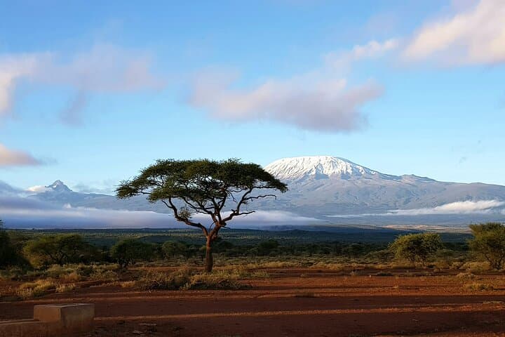 2-Day Amboseli Private Safari: Kilimanjaro Views & Elephant Herds photo 3