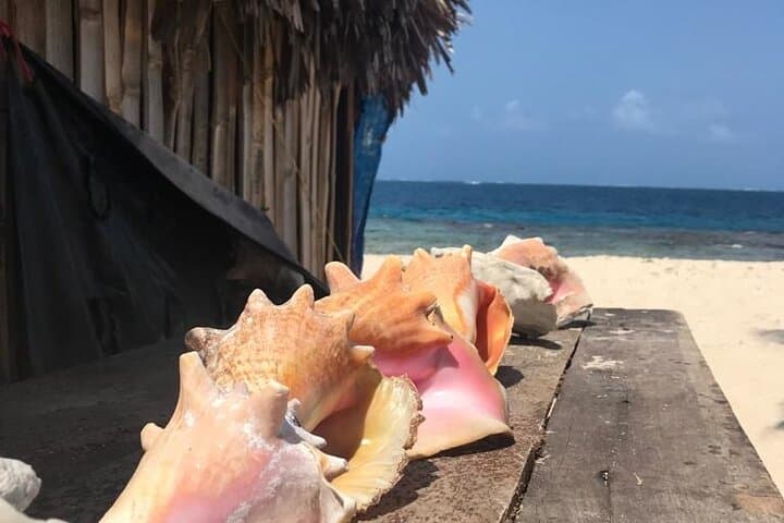 San Blas Islands Day Tour — 4 Guna Yala Islands & Snorkel photo 6