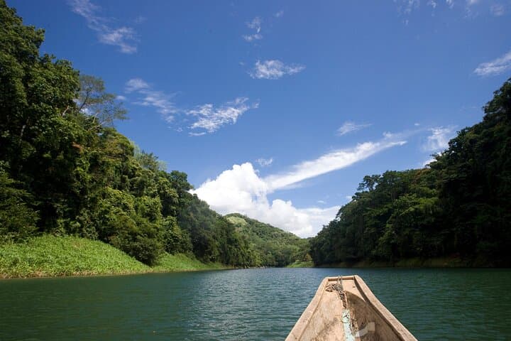 Emberá Community Tour on the Chagres River — Canoe, Culture & Cascada Bonita photo 4