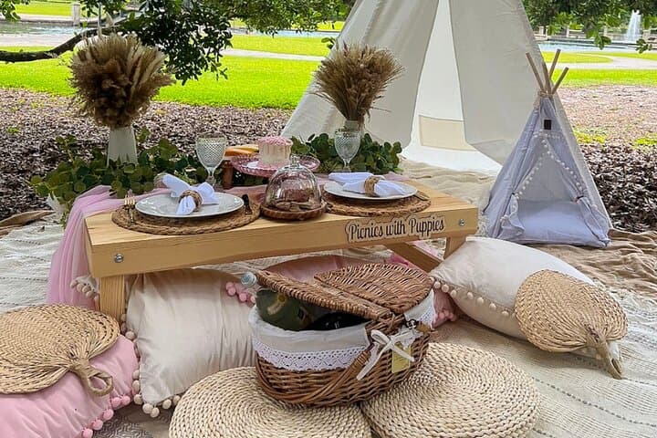 Luxury Themed Picnics in Charleston — Private Curated Outdoor Meals