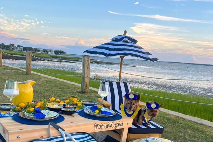 Luxury Themed Picnics in Charleston — Private Curated Outdoor Meals photo 3