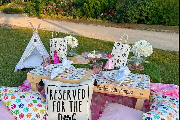 Luxury Themed Picnics in Charleston — Private Curated Outdoor Meals photo 4