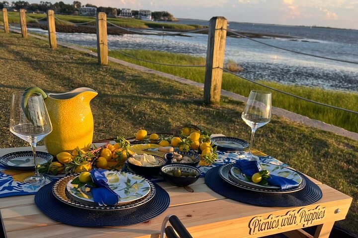 Luxury Themed Picnics in Charleston — Private Curated Outdoor Meals photo 5