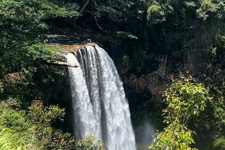 Kauai Waterfalls & Food Tasting: Eastside Small-Group Tour from Kapaa photo 3