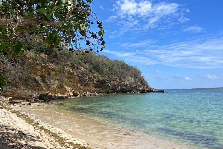 Vamos Pa la Isla: Full-Day Southwest Puerto Rico Experience photo 2