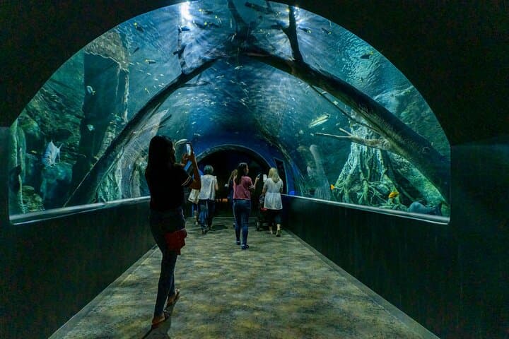 Oman Aquarium: Underwater Tunnel, Penguin Feeding & Marine Wonders in Muscat photo 2