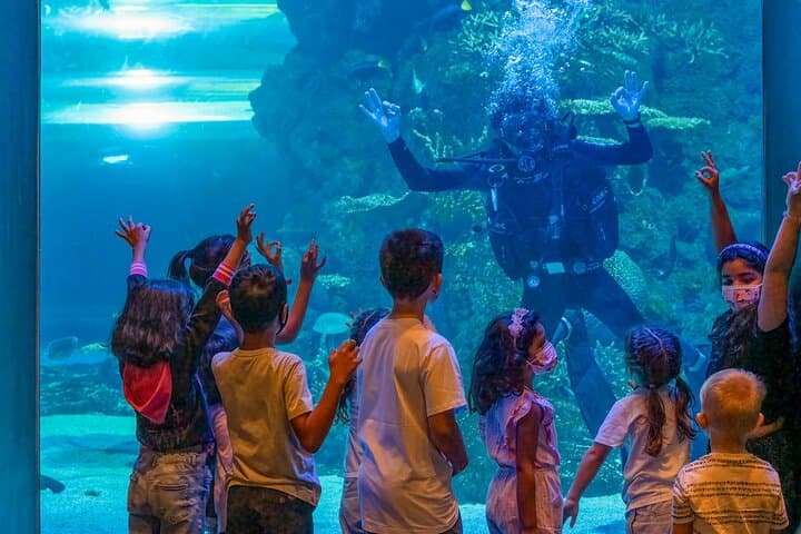 Oman Aquarium: Underwater Tunnel, Penguin Feeding & Marine Wonders in Muscat photo 3