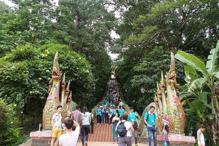 Doi Suthep to Bua Thong: One-Day Chiang Mai Temple and Sticky Waterfall Adventure photo 2
