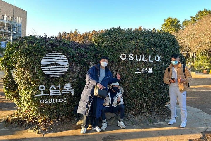 Private West & South Jeju Day Tour — Jeongbang Falls, Yongmeori & Tea Fields photo 4