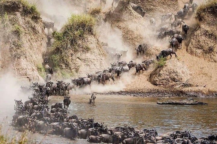 4-Day Mid-Luxury Safari: Lake Nakuru & Masai Mara Big Five Adventure photo 3