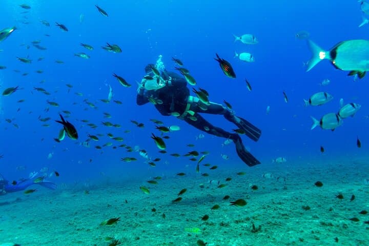 Scuba Diving from Plakias: Explore the Lybian Sea’s Clear Depths