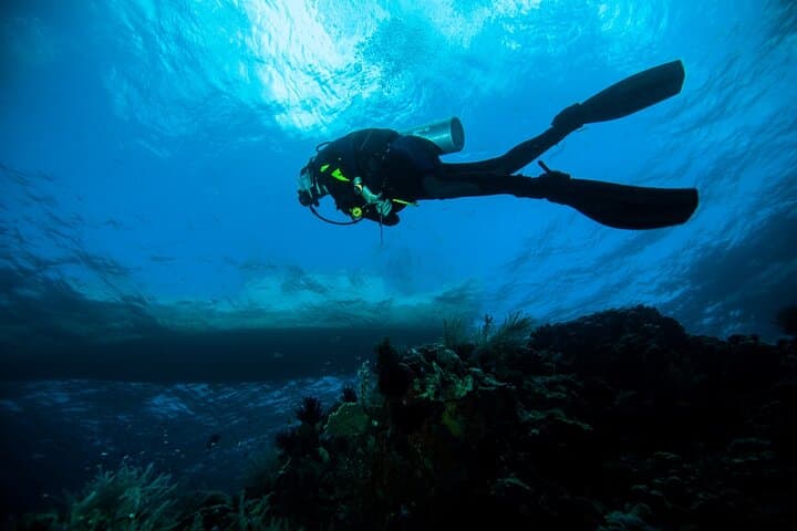 Scuba Diving from Plakias: Explore the Lybian Sea’s Clear Depths photo 4