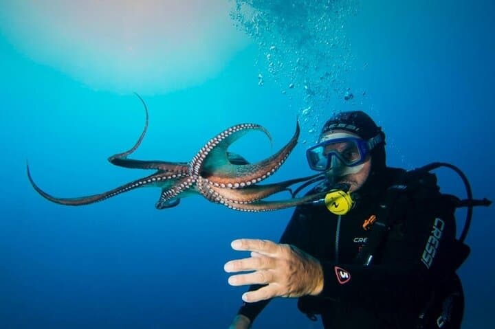 Scuba Diving from Plakias: Explore the Lybian Sea’s Clear Depths photo 5