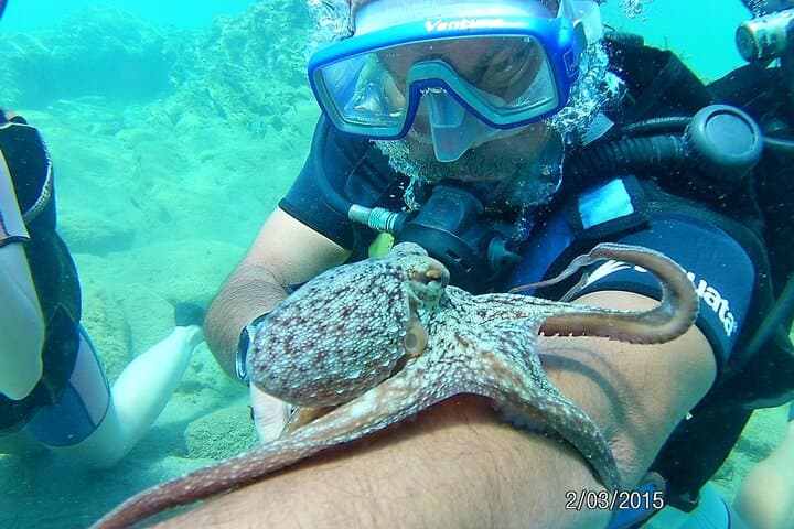 Scuba Diving from Plakias: Explore the Lybian Sea’s Clear Depths photo 6